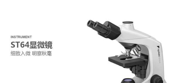 郑州公司网站制作及其技术方面的解决对策